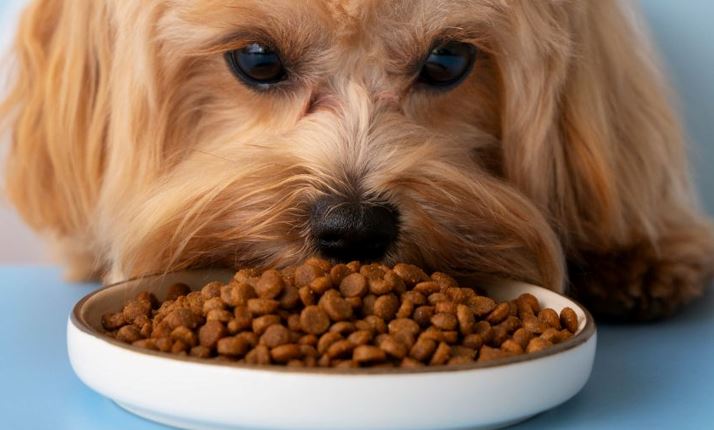 alimento de las mascotas